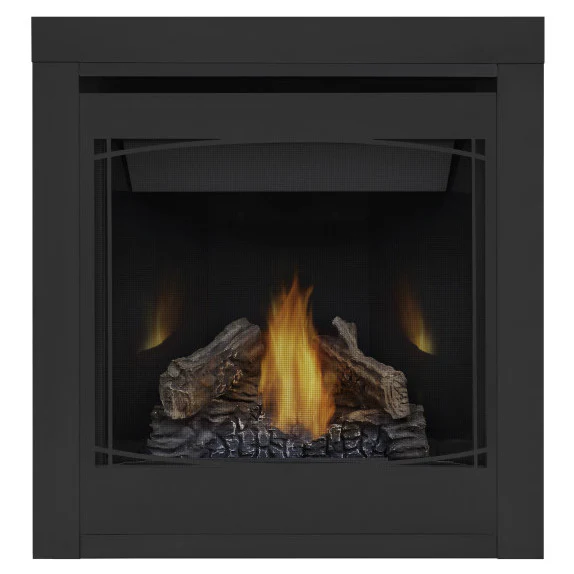 Ascent 30 Napoleon Direct Vent Gas Fireplace - Image 4