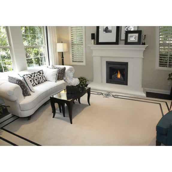 Ascent 30 Napoleon Direct Vent Gas Fireplace - Image 5