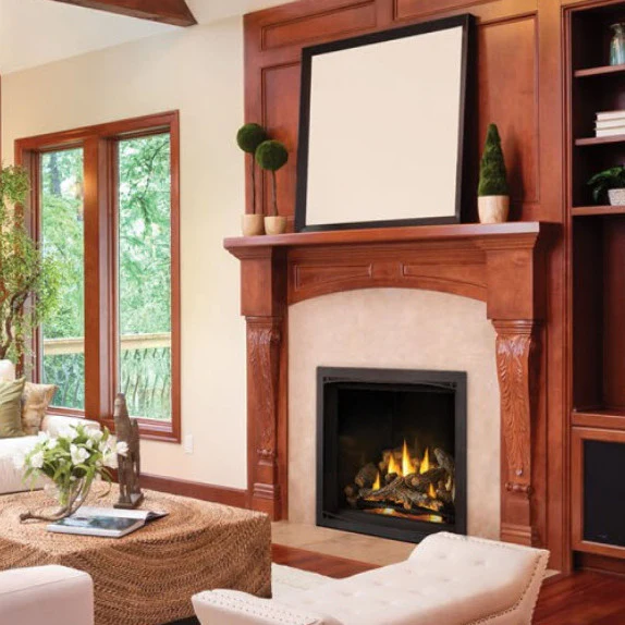 Napoleon Elevation X 36 Direct Vent Fireplace - Image 3
