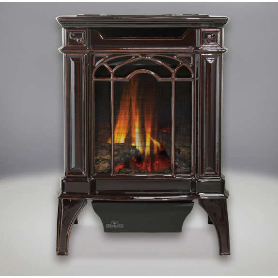 Direct Vent Gas Stove - Napoleon GDS20 Arlington - Image 3